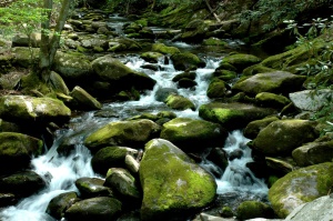 snelstromend riviertje | Great Smokey Mountains NP